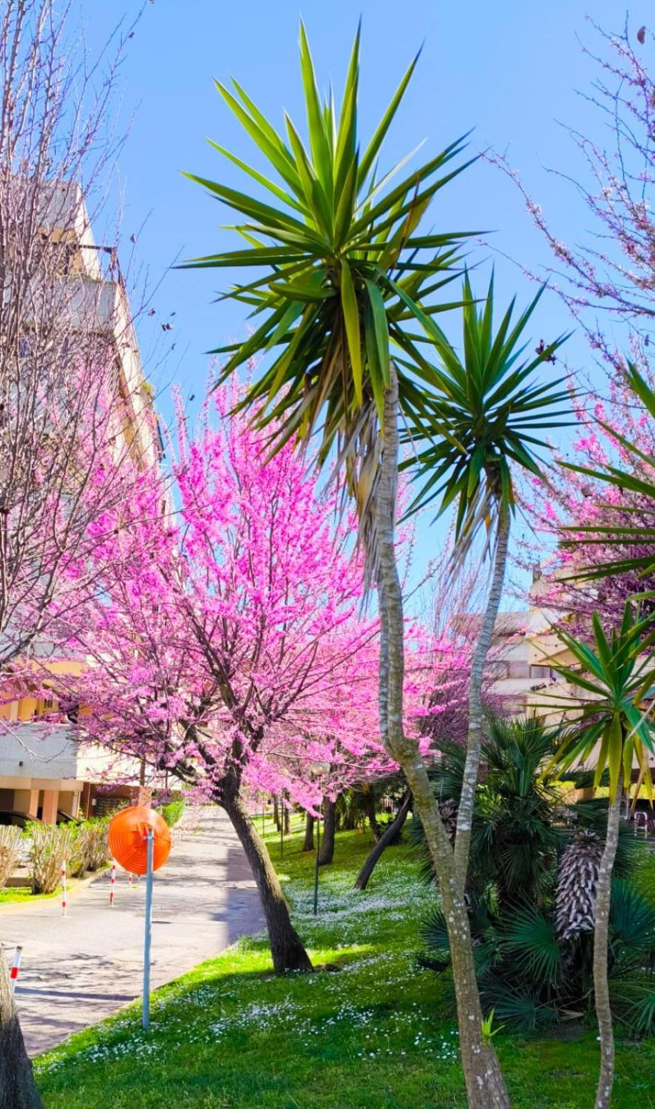 Rome Sweet Home Vitinia エクステリア 写真